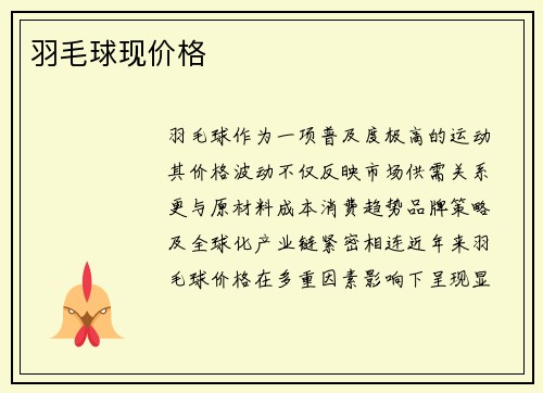 羽毛球现价格